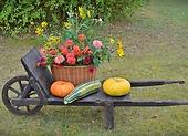 Oktober im Garten - es ist Zeit, sich auf den Winter vorzubereiten. Schauen Sie sich unsere Praxistipps an!