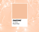 Peach Fuzz u2013 die Pantone-Farbe des Jahres 2024