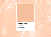 Peach Fuzz – die Pantone-Farbe des Jahres 2024