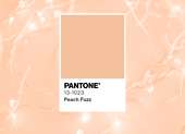 Peach Fuzz u2013 die Pantone-Farbe des Jahres 2024