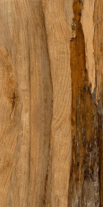 Bodenfliese Burningwood HDR wood 60/120