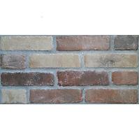 Frostbestbeständige Wandfliese Brick mix 31/62