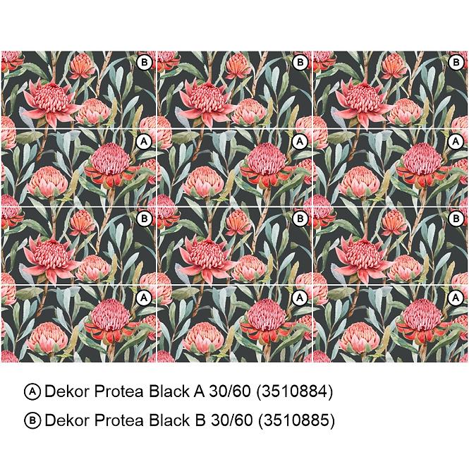 Dekorfliese Protea Black A 30/60