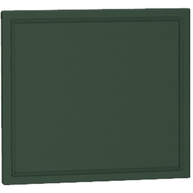 Seitenplatte Emily 720x564 grün matt                 