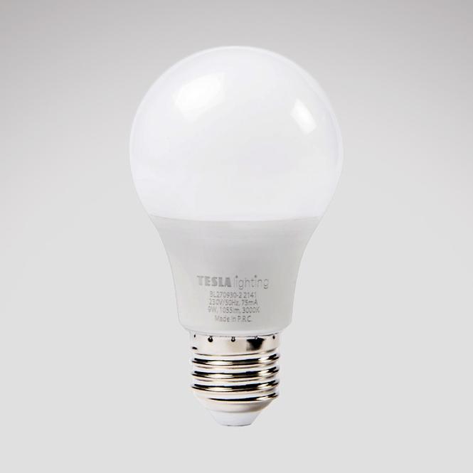 LED Glühbirne Bulb 9W E27 3000K