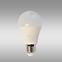 LED Glühbirne Bulb 12W E27 3000K