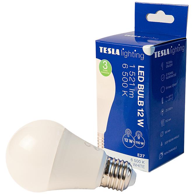 LED Glühbirne Bulb 12W E27 6500K