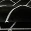 Teppich Frisee Diamond 1,6/2,3 B0052 schwarz/silber,7