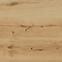 Bodenfliesen Sandwood beige 20mm 59,3/59,3,2