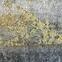 Teppich bedruckt Loren 0,8/1,5 Lbl 15 Grau,7
