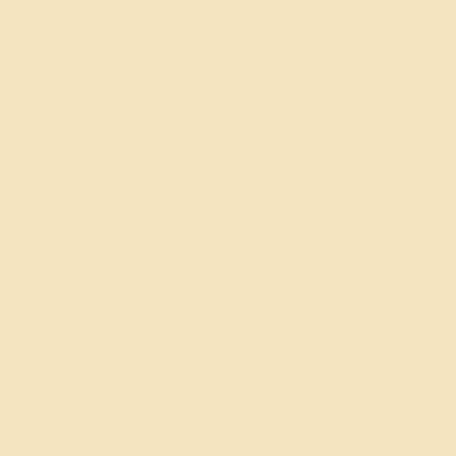 Farbe Trendy Colors beige (5) 2,5 l