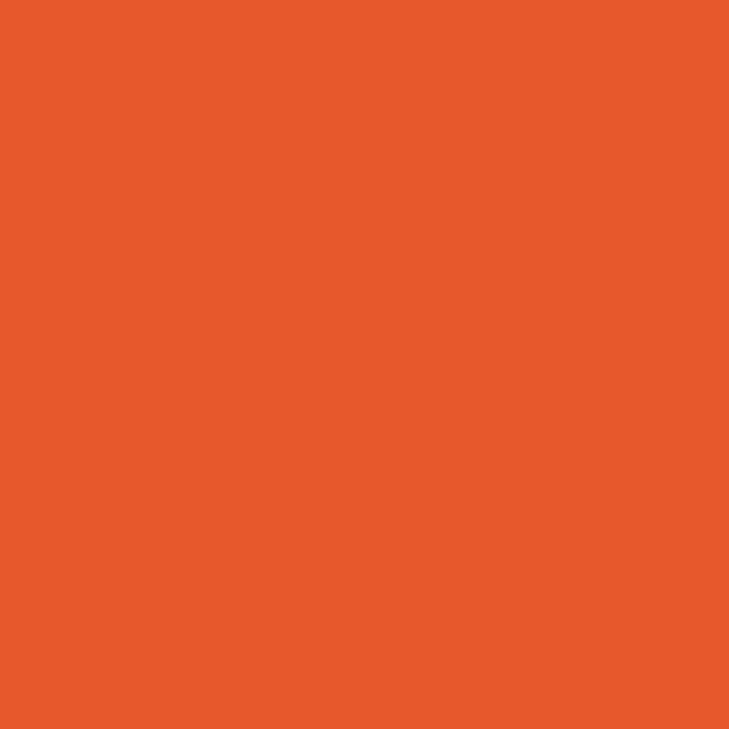 Farbe Trendy Colors orange (6) 2,5 l,2