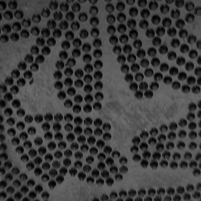 Gummi Fußmatte für Außen Leaf K-116 58x36 cm Blatt